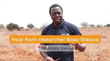 Reflections from the field: lead farmers are critical to scaling CSA