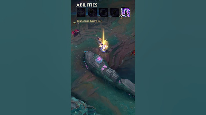 Yunara Champion Spotlight