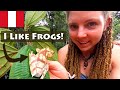 I went to the amazon rainforest to search for frogs