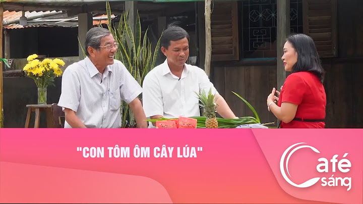 Con tôm ôm cây lúa tiếng anh là gì năm 2024