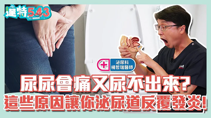 #尿尿會痛 又尿不出來？這些原因讓你 #泌尿道 反覆發炎！| 黃漢斌醫師 ft. 秀傳紀念醫院 泌尿科 楊哲瑞醫師【543男方基地】 - 天天要聞