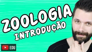 ANIMAL KINGDOM - INTRODUCTION TO ZOOLOGY - CONCEPTS | Biology Class with Samuel Cunha