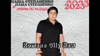 Паша Степанёнко - Любовь ты не ищи 2023 New 💣