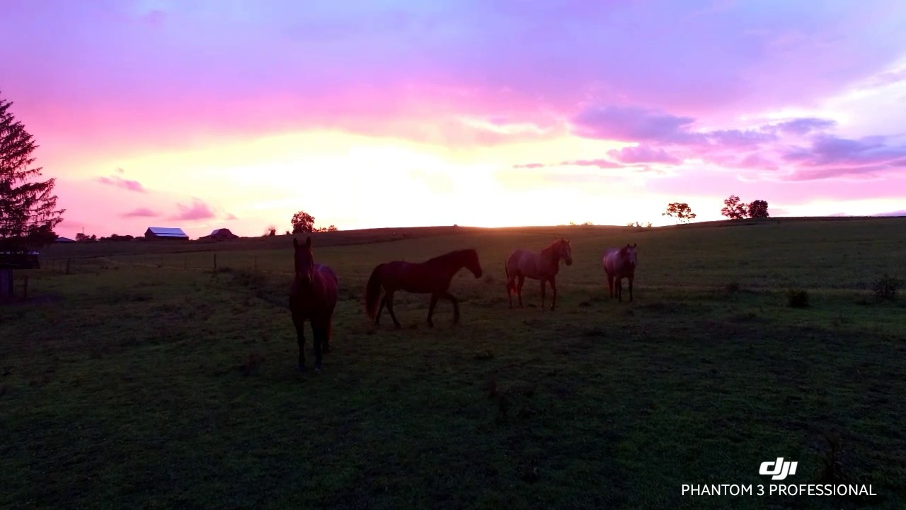 Arrow B Ranch sunset!! (This Nothin Town. Jason Aldean) - YouTube