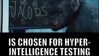 White Extinction, White Fear And Rise Of The Planet Of The Apes/Hebrew Israelites screenshot 2