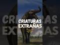 Deinotherium fue uno de los parientes más extraños de los elefantes.#prehistoria #criaturasextrañas