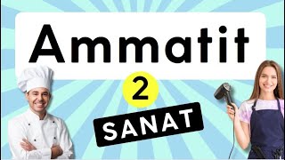 Ammatit 2