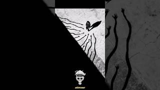 Best #photography #music