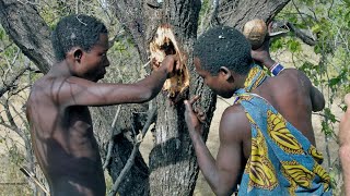 Дикие племена | БУШМЕНЫ | KALAHARI BUSHMEN | БУШМЕНЫ КАЛАХАРИ, trible bushmen