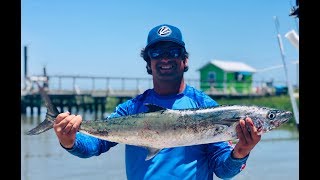 Kingfish fishing in Tybee Island Georgia for #summervacation #kingfish #tybeeisland