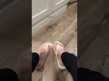 these new crocs flip flops #shorts