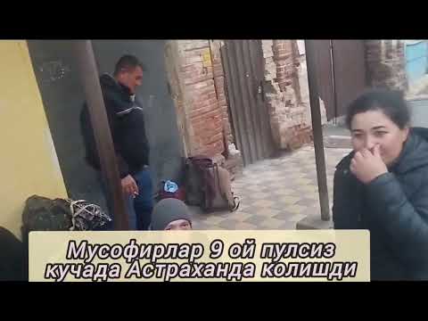 Video: Astraxandagi lotus dalalari: tavsif, diqqatga sazovor joylar va qiziqarli faktlar