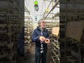 【岩手グルメ】夫婦の愛がこもった肉厚すぎるしいたけ