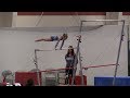 For love or money 2019  level 3 gymnastics meet