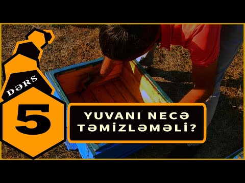 Video: Plutchik-in duyğular çarxından necə istifadə edirsiniz?