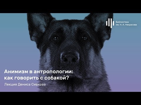 «Анимизм в антропологии: как говорить с собакой?» Лекция Дениса Сивкова