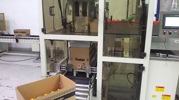 Drop down type case packer