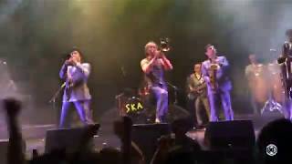 TOKYO SKA PARADISE ORCHESTRA / Pride Of Lions_El plaza Condesa