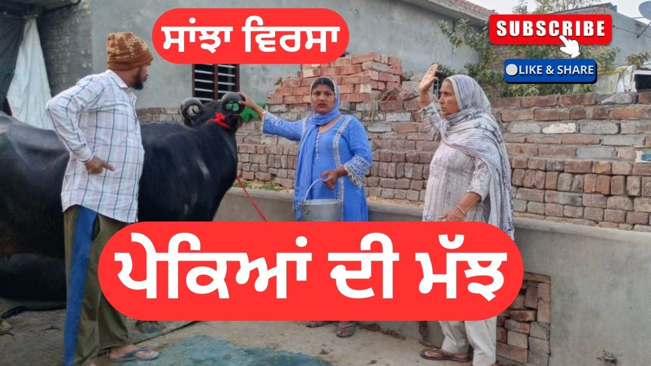 ਪੇਕਿਆਂ ਦੀ ਮੱਝ | pekean di majh | short video  | punjabi natak | ‪@Sanjhavirsa12‬ 