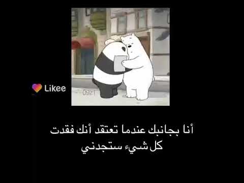 الدببه الثلاثه حالات واتس
