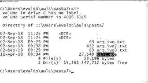 Terminal Linux e Prompt de Comando do Windows - Comandos de manipulação de arquivos
