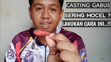 Cara dan tips casting ikan gabus sering mocel