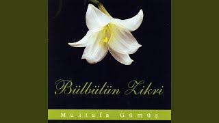 Mekkeyi Özledim Resimi