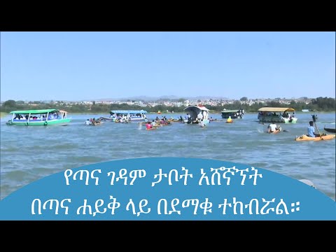 ቪዲዮ: በነጭ ሐይቅ ላይ ሚሚሚሪ