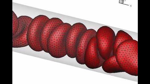 RBC simulation by MFDL, Yonsei University, Seoul, Korea