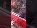 طريقه قفل اي عربيه رينو من غير مفتاح بالكامل طريقه قفل اي عربيه رينو من غير مفتاح بالكامل