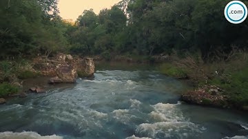 سورة الرحمن من الاية 23 الى الأية 28