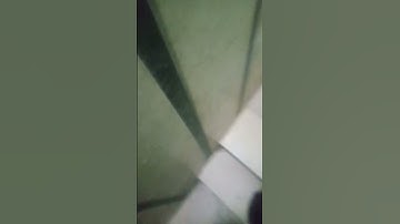 القارئ عبدالله بن محمد بن خليفة القماح عضو هيئة التدريس بجامعة تبوك المملكة العربية السعودية سابقا