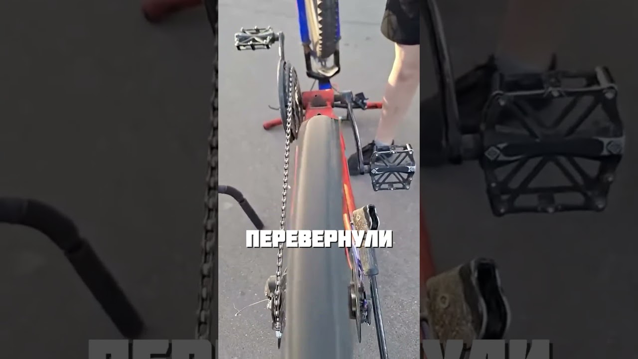 ВЕЛОСИПЕД ПОДСКАЗАЛ
