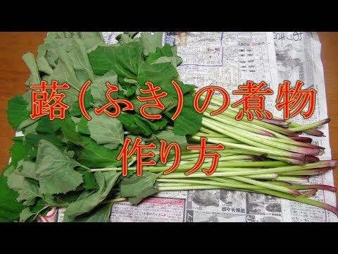 蕗(ふき)の煮物 Let's eat season's food - YouTube