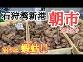 【北海道】『石狩湾新港朝市』シャコがズラリと並ぶ!鮮魚の中に…ん!?これはっ!!