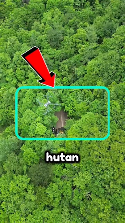How to Build a House in the Middle of the Forest? #shorts