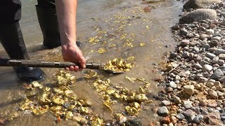 These gold riches may be close by the city. (River Treasure)