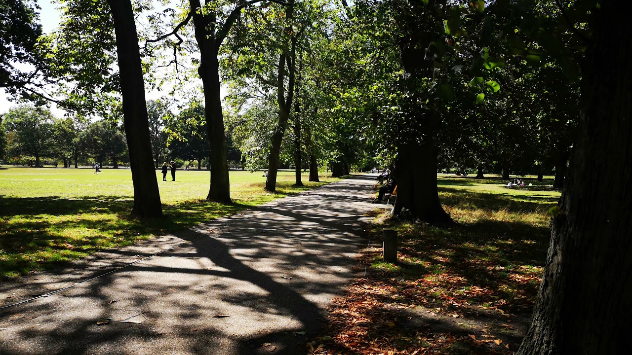 pathway in a city park Stock Video