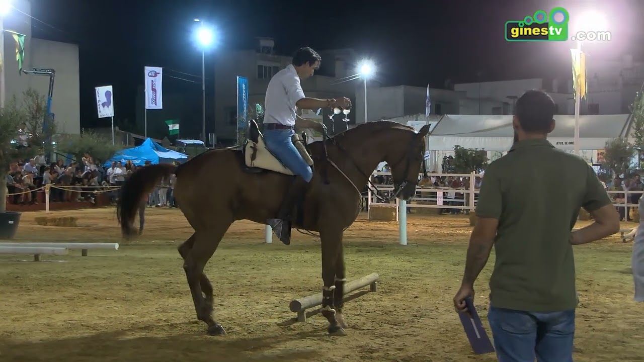 XI Gymkhana Ecuestre en Una Pará en Gines 2022