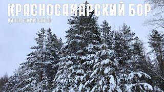 Красносамарский бор