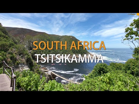Tsitsikamma National Park | South Africa