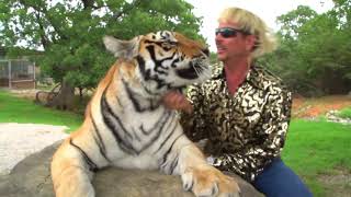Preston Exotic   I Saw Tigers
