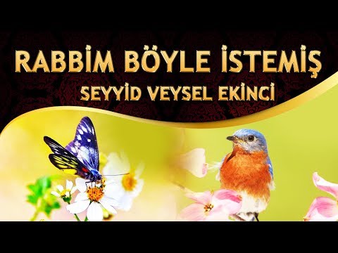 Zikirli İlahi - Rabbim Böyle İstemiş - Seyyid Veysel Ekinci