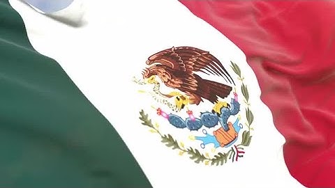 Mexico Flag Close-Up 4K Stock Motion Graphics