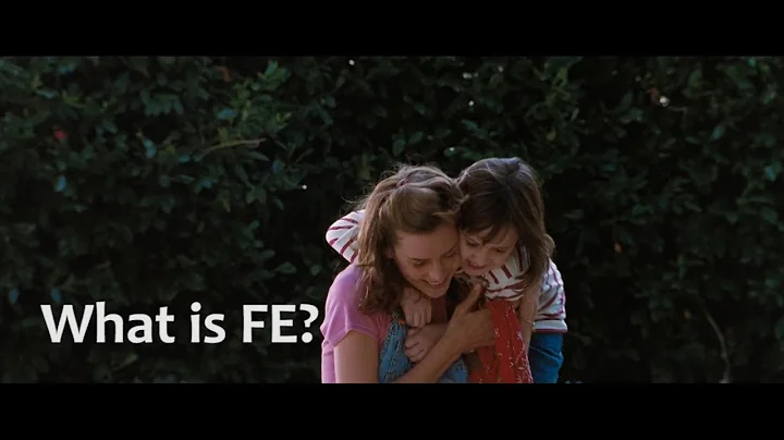 EXTRAVERTED FEELING - WHAT IS FE? - Crash Course in Cognitive Functions - 16 Personalities/MBTI