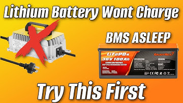 Lithium LifoPO4 Battery Wont Charge! Try This First!