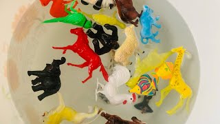 Plastic animals unboxing order Flipkart |animals toys collection | Elephant Lion camel giraffe .toys