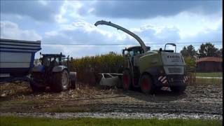 New Holland T7070 In Ceroro E Pastone Mais 2014