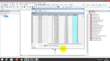 CAMPOS EN SECUENCIA EN ARCGIS