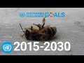 Red alert  how to meet the sustainable development goals together  sdg moment  united nations